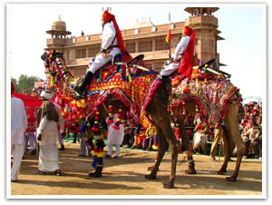 Delhi - Agra Tour