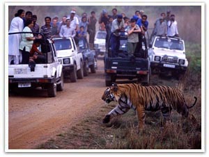 Delhi - Agra Tour