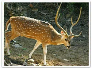 Delhi - Agra Tour